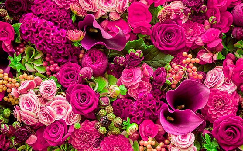 flores