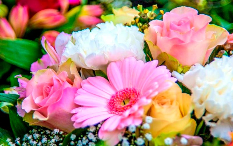 imagem-flores