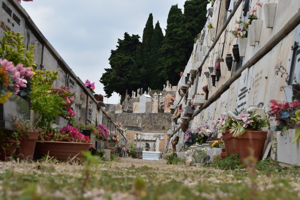 coroa de flores em pinheiros